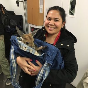 Meet your Posher, Jamie